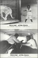 cca 1989 előtt készült, "Piedone Afrikában" című film jelenetei és szereplői, 17 db vintag...