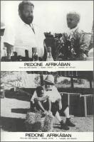 cca 1989 előtt készült, "Piedone Afrikában" című film jelenetei és szereplői, 17 db vintag...