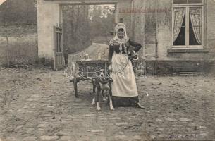 Flemish Dairy vendor