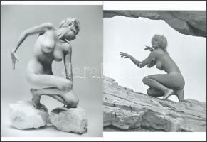 cca 1953 André de Dienes (korábban Ikafalvi-Dienes Andor György) (1913-1985) magyar - amerikai fotóriporter és fotóművész felvételei (Sziklakerti szobortervek), 2 db modern nagyítás, jelzés nélkül, 21x15 cm