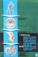 1964 Gönczi-Gebhardt Tibor (1902-1994): Mandulagyulladás, torokgyulladás, ízületi gyulladás. Egészségügyi felvilágosító plakát, kis lapszéli szakadással, gyűrődéssel, 68x47 cm