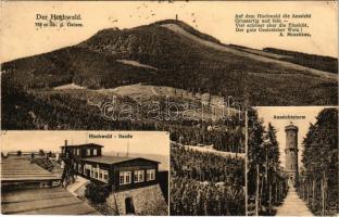 Hvozd, Hochwald (Zittau Mountains); Der Hochwald, Aussichtsturm, Baude / lookout tower, rest house, mountain (EK)
