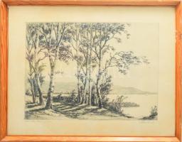 Paulovits Pál (1892-1975): Levélhullás a parton (Balatoni vitorlás). Rézkarc, papír, jelzett. Üvegezett fakeretben, 29×39 cm