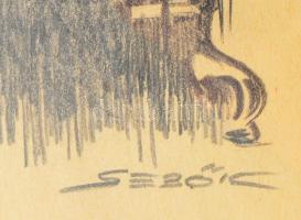 Sebők jelzéssel: Ledér hölgy és az olvasó úr. Ceruza, papír, jelzett, üvegezett fa keretben, 29,5x20...