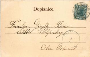 1905 Chudenice, Chudenitz; castle (fl)