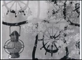 cca 1958 Angelo Funk Pál (1894-1974) budapesti fényképész és fotóművész felvétele, 1 db modern nagyítás, jelzés nélkül, 15x21 cm