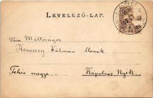 1900 Velence, Kisvelence; Tükrös, Manndorff-Wickenburg kúria és kertje, kastély. A képeslap feladója...