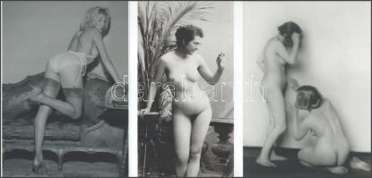 1920 és 1960 között, húsz évenként változó szépségideálok, szolidan erotikus felvételek, 3 db mai nagyítás, jelzés nélkül, 21x15 cm