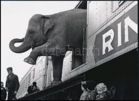 cca 1957 "Megérkeztem", 1 db modern nagyítás, jelzés nélkül, 15x21 cm