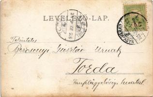 1905 Kolozsvár, Cluj; fiatal hölgyek / young ladies. photo (EK)