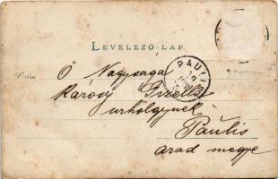 1899 (Vorläufer) Arad, hölgy kalapban, napernyővel / lady with hat and parasol. photo (EB)