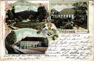 1902 Vidnava, Weidenau; Ruine Kaltenstein, Baron Gilgenheimbs Schloss / castle ruins, castle, square with shops. Verlag von Emil Bürgl. Art Nouveau, floral with coat of arms (EB)