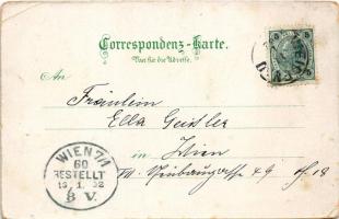 1902 Vidnava, Weidenau; Ruine Kaltenstein, Baron Gilgenheimbs Schloss / castle ruins, castle, square...