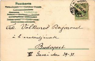 1904 Boldog Újévet! Tündérek asztaliteniszeznek, gomba, pókháló / New Year greeting art postcard, fa...