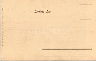 Cigány. Moravetz és Weisz (Temesvár) kiadása / Zigeuner / Gypsy man, folklore (EK)