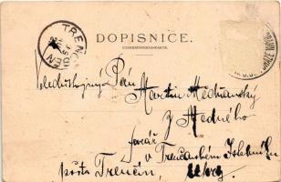 1899 (Vorläufer) Hrubá Skála, Kocicí Hlava, Stekluv Pensionat, Drací Skály, Trosky. Art Nouveau, flo...