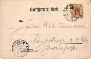 1899 (Vorläufer) Hrensko, Herrnskretschen; Schlögel's Gasthaus (Wilhelm Günther) / general view...