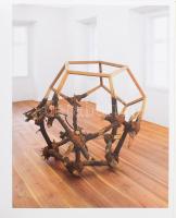 Back to the Roots. David Nashs, Werner Pokorny, Jinmo Kang, Unen Enkh. Hrsg. von Margit Biedermann F...