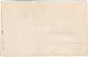 Wien, Vienna, Bécs; Diesen Jüngling zur Erheitrung...E. Schreier / café, waiter, leporellocard with ...