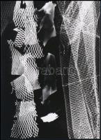 cca 1960 Gyarmathy Tihamér (1915-2005) avantgárd festő- és fotóművész alkotása (Fotogram), 1 db modern nagyítás, jelzés nélkül, 21x15 cm