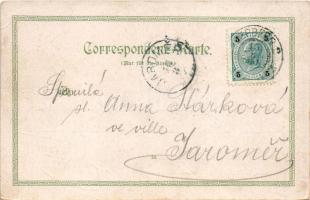 1900 Bohumín, Oderberg; Gruss aus... Art Nouveau, floral, litho frame (EB)