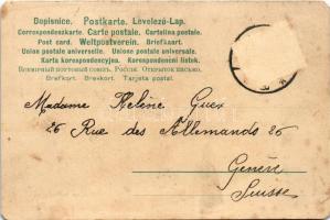 1904 Wien, Vienna, Bécs; Ausfahrt Sr. Majestät Kaiser Franz Josef I, Schloss Schönbrunn. Lederer &am...