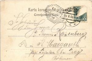 1905 Przemysl, Ogólny widok / Totalansicht / general view (EK)