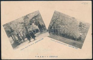 1917 Hadifogoly képeslap Szibériából a transzbajkáli vasútvonalon át Keszthelyre küldve, japán képes...