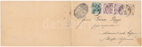 1900 Tulln an der Donau, Donau-Brücke / bridge, general view, steamship. 2-tiled folding panoramacar...