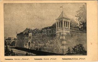Tomaszów Mazowiecki, Tomaschów; Zamek Pilica / Schloss / castle (EK)