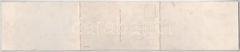 Wien, Vienna, Bécs; Wien vom Kobenzl aus gesehen. Verlag Josef Popper / general view. 3-tiled foldin...