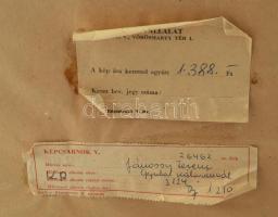 Jánossy Ferenc (1926-1983): Gyulai Kálmánnál. Akvarell, papír, jelzett, üvegezett fakeretben, hátold...