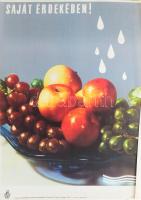 1969 "Saját érdekében!" Egészségügyi Felvilágosítási Központ plakát, hajtásnyommal, kis szakadással, 67x48 cm