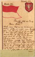 1916 Polska / Polonia / Poland. Polish flag and coat of arms (EK)