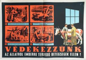 cca 1960, Bánhegyi Tibor (1923-1986): Védekezzünk az állatról emberre terjedő betegségek ellen. Egészségügyi felvilágosító plakát, kis lapszéli sérüléssel, hajtott, 59x74 cm
