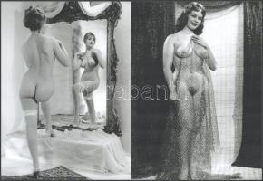 cca 1953 "Budoárok rejtelmei", szolidan erotikus felvételek, 2 db modern nagyítás, jelzés nélkül, 21x15 cm