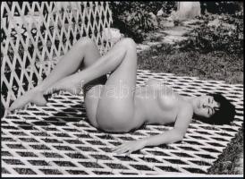 cca 1951 "Rácsos süti a kerti partin", 1 db modern nagyítás, jelzés nélkül, 15x21 cm