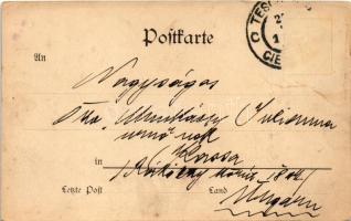 1900 Cieszyn, Teschen; Das Kaiser Josef-Denkmal am Pfarrplatz / monument. Ed. Feitzinger No. 295. (E...