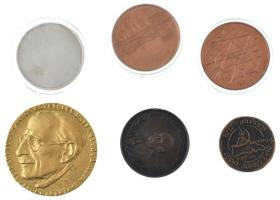 Vegyes 6db-os egy kivételével orvosi témájú emlékérem tétel, közte: Bakos Ildikó (1948- ) 1985. "Rácz Sámuel / A Magyar Élettani Társaság Jubileumi Kongresszusa" kétoldalas bronz emlékérem; 1999. "Magyar Honvédség - Központi Honvéd Kórház" ezüstözött fém emlékérem; Csúcs Ferenc (1905-1999) 1970. "1957. Gépipari Tudományos Egyesület Pattantyús Á. Géza Emlékérem / Egyesületünkben kifejtett kiemelkedő tevékenységéért"; 1992. "Budapest / Congressus 16. Societatis Radiologorum Hungarorum (A Magyar Radiológiai Társaság 16. Kongresszusa)" bronz emlékérem T:vegyes