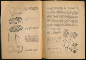 Varga János: Az ehető és mérges gombák megkülönböztetése. Pécs, 1949, Pécsi Szikra-ny, 36 p. Egyetle...