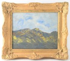 Olvashatatlan (Erdélyi B?) jelzéssel: Dombos táj. Olaj, falemez. Dekoratív, kissé sérült fakeretben. 21,5x26,5 cm