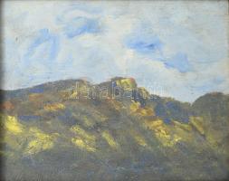 Olvashatatlan (Erdélyi B?) jelzéssel: Dombos táj. Olaj, falemez. Dekoratív, kissé sérült fakeretben....