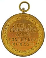 1922. "Magyar Bronz Érdemérem" aranyozott bronz kitüntetés mellszalag nélkül T:XF kopott a...