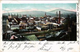 1901 Vrchlabí, Hohenelbe (Krkonose, Riesengebirge); general view with castle (EK)