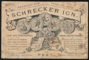 1870 Női portré, keményhátú fotó Schrecker pesti műterméből, sérült, 16,5×10,5 cm