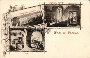 Prószków, Proskau; Milchwirtschaftliches Institut, Laboratorium, Käserei / dairy institute, laboratory, cheese factory. Verlag von R. Heimann Phot. Art Nouveau, floral (EK)