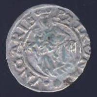 Miksa 1567. Denár Ag ÉH.766a T:2-/3