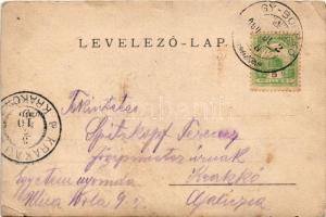 1900 Nagybocskó, Újbocskó, Bocicoiu Mare (Máramaros); férfi bottal / man with a stick. photo (vágott...