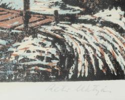 Réti Mátyás (1922-2002): Híd. Színes linómetszet, papír, jelzett, lap széle kissé foltos, üvegezett ...