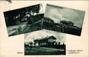 1950 Zánka, Strand, Katicabogár-villa, Szeghegyi Állami csemetekert. Hajba István kiadása + "NYARALJON ZÁNKÁN! + "BORSODGESZT POSTAÜGYN." (fl)